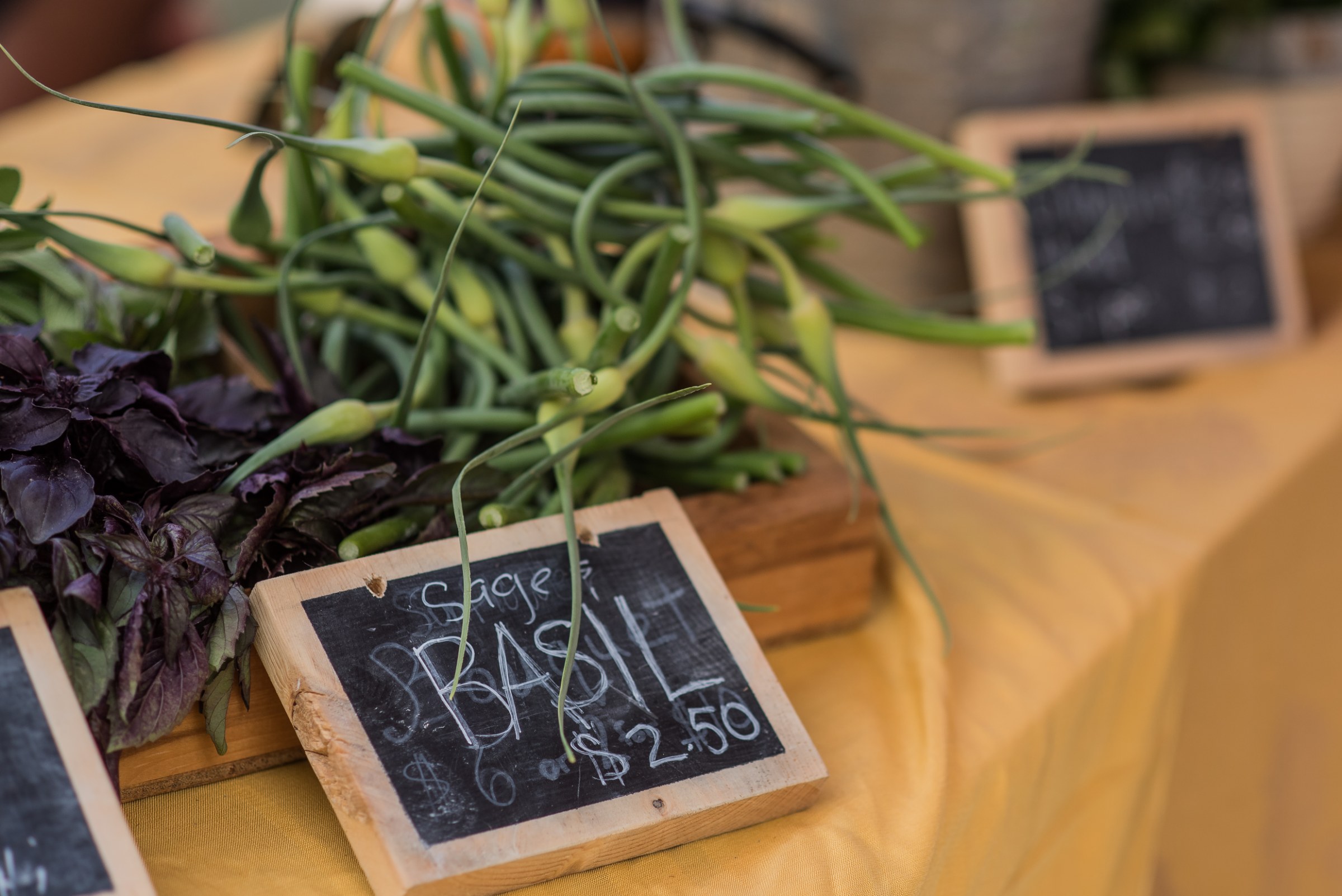 Bundles of fresh basil and garlic scapes at a downtown market stall